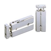 Doppelkolbenzylinder, Serie CXS